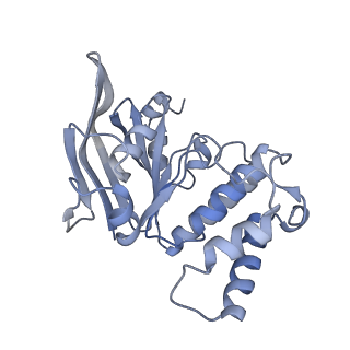 9126_6mi8_A_v1-2
Cryo-EM Structure of vanadate-trapped E.coli LptB2FGC