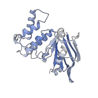 9126_6mi8_B_v1-2
Cryo-EM Structure of vanadate-trapped E.coli LptB2FGC