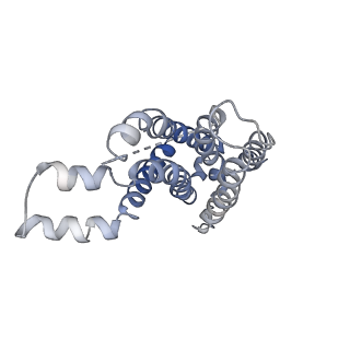 9126_6mi8_F_v1-2
Cryo-EM Structure of vanadate-trapped E.coli LptB2FGC
