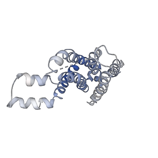 9126_6mi8_F_v1-3
Cryo-EM Structure of vanadate-trapped E.coli LptB2FGC