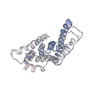 9126_6mi8_G_v1-2
Cryo-EM Structure of vanadate-trapped E.coli LptB2FGC