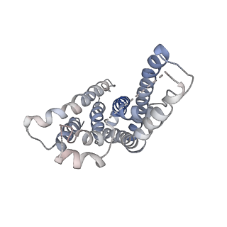 9126_6mi8_G_v1-3
Cryo-EM Structure of vanadate-trapped E.coli LptB2FGC