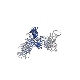 23872_7mjg_A_v1-0
Cryo-EM structure of the SARS-CoV-2 N501Y mutant spike protein ectodomain