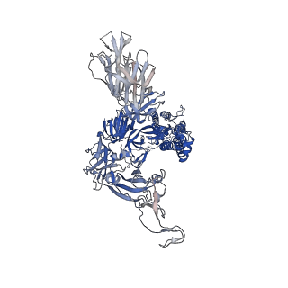 23872_7mjg_C_v1-0
Cryo-EM structure of the SARS-CoV-2 N501Y mutant spike protein ectodomain