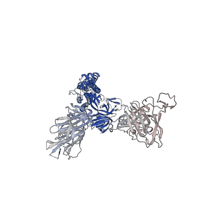 23873_7mjh_A_v1-0
Cryo-EM structure of the SARS-CoV-2 N501Y mutant spike protein ectodomain bound to VH ab8