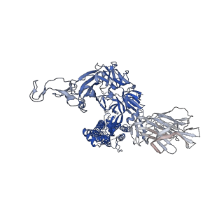 23873_7mjh_B_v1-0
Cryo-EM structure of the SARS-CoV-2 N501Y mutant spike protein ectodomain bound to VH ab8