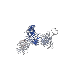 23875_7mjj_A_v1-0
Cryo-EM structure of the SARS-CoV-2 N501Y mutant spike protein ectodomain bound to Fab ab1 (class 1)