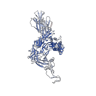 23875_7mjj_C_v1-0
Cryo-EM structure of the SARS-CoV-2 N501Y mutant spike protein ectodomain bound to Fab ab1 (class 1)