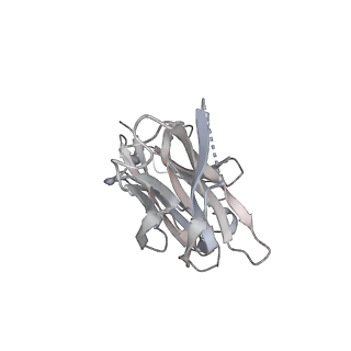 23875_7mjj_F_v1-0
Cryo-EM structure of the SARS-CoV-2 N501Y mutant spike protein ectodomain bound to Fab ab1 (class 1)