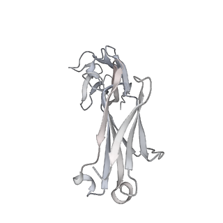 23875_7mjj_G_v1-0
Cryo-EM structure of the SARS-CoV-2 N501Y mutant spike protein ectodomain bound to Fab ab1 (class 1)