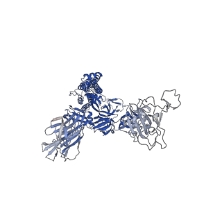 23876_7mjk_A_v1-0
Cryo-EM structure of the SARS-CoV-2 N501Y mutant spike protein ectodomain bound to Fab ab1 (class 2)