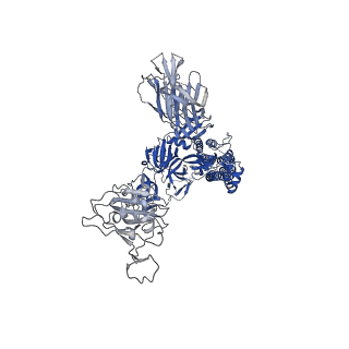 23876_7mjk_C_v1-0
Cryo-EM structure of the SARS-CoV-2 N501Y mutant spike protein ectodomain bound to Fab ab1 (class 2)