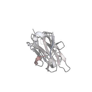 23876_7mjk_F_v1-0
Cryo-EM structure of the SARS-CoV-2 N501Y mutant spike protein ectodomain bound to Fab ab1 (class 2)