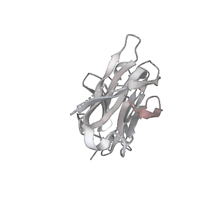 23876_7mjk_H_v1-0
Cryo-EM structure of the SARS-CoV-2 N501Y mutant spike protein ectodomain bound to Fab ab1 (class 2)
