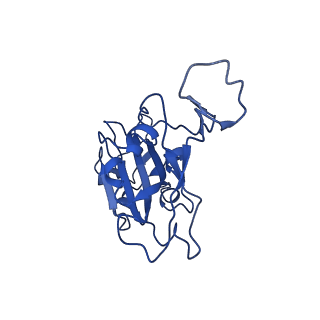 23877_7mjl_A_v1-0
Cryo-EM structure of the SARS-CoV-2 N501Y mutant spike protein ectodomain bound to Fab ab1 (focused refinement of RBD and Fab ab1)