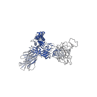 23878_7mjm_A_v1-0
Cryo-EM structure of the SARS-CoV-2 N501Y mutant spike protein ectodomain bound to human ACE2 ectodomain