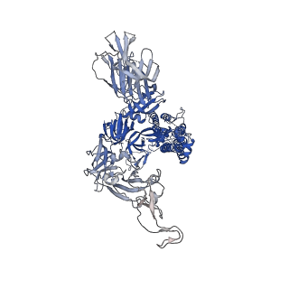 23878_7mjm_C_v1-0
Cryo-EM structure of the SARS-CoV-2 N501Y mutant spike protein ectodomain bound to human ACE2 ectodomain