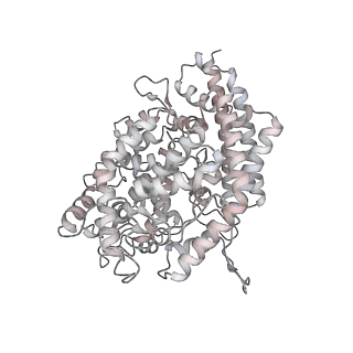 23878_7mjm_D_v1-0
Cryo-EM structure of the SARS-CoV-2 N501Y mutant spike protein ectodomain bound to human ACE2 ectodomain