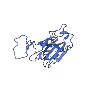 23879_7mjn_B_v1-0
Cryo-EM structure of the SARS-CoV-2 N501Y mutant spike protein ectodomain bound to human ACE2 ectodomain (focused refinement of RBD and ACE2)