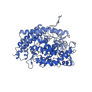 23879_7mjn_E_v1-0
Cryo-EM structure of the SARS-CoV-2 N501Y mutant spike protein ectodomain bound to human ACE2 ectodomain (focused refinement of RBD and ACE2)