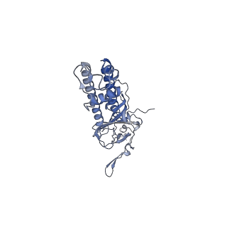 23880_7mjo_D_v1-1
Vascular KATP channel: Kir6.1 SUR2B quatrefoil-like conformation 1