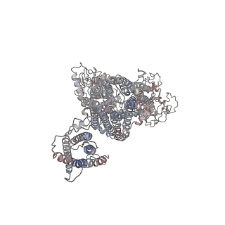 23880_7mjo_E_v1-1
Vascular KATP channel: Kir6.1 SUR2B quatrefoil-like conformation 1