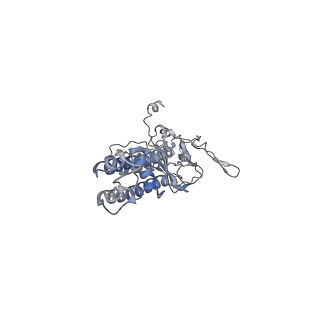 23882_7mjq_A_v1-1
Vascular KATP channel: Kir6.1 SUR2B quatrefoil-like conformation 2