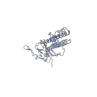 23882_7mjq_C_v1-1
Vascular KATP channel: Kir6.1 SUR2B quatrefoil-like conformation 2