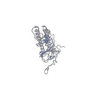 23882_7mjq_D_v1-1
Vascular KATP channel: Kir6.1 SUR2B quatrefoil-like conformation 2