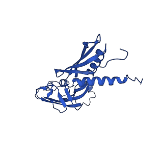 23892_7mkd_G_v1-1
Cryo-EM structure of Escherichia coli RNA polymerase bound to lambda PR promoter DNA (class 1)
