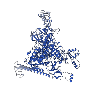 23892_7mkd_I_v1-1
Cryo-EM structure of Escherichia coli RNA polymerase bound to lambda PR promoter DNA (class 1)