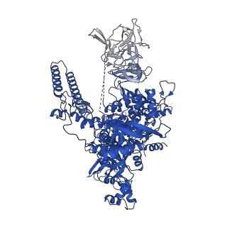 23892_7mkd_J_v1-1
Cryo-EM structure of Escherichia coli RNA polymerase bound to lambda PR promoter DNA (class 1)