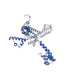 23892_7mkd_L_v1-1
Cryo-EM structure of Escherichia coli RNA polymerase bound to lambda PR promoter DNA (class 1)