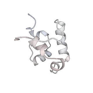 23892_7mkd_R_v1-1
Cryo-EM structure of Escherichia coli RNA polymerase bound to lambda PR promoter DNA (class 1)