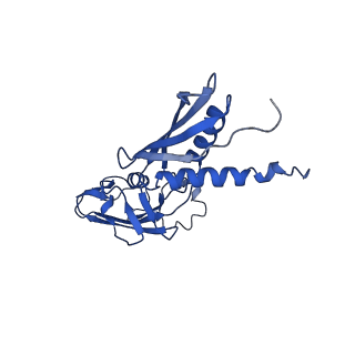 23893_7mke_G_v1-1
Cryo-EM structure of Escherichia coli RNA polymerase bound to lambda PR promoter DNA (class 2)
