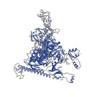 23893_7mke_I_v1-1
Cryo-EM structure of Escherichia coli RNA polymerase bound to lambda PR promoter DNA (class 2)