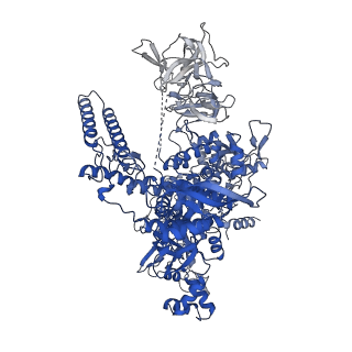 23893_7mke_J_v1-1
Cryo-EM structure of Escherichia coli RNA polymerase bound to lambda PR promoter DNA (class 2)