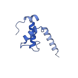 23893_7mke_K_v1-1
Cryo-EM structure of Escherichia coli RNA polymerase bound to lambda PR promoter DNA (class 2)