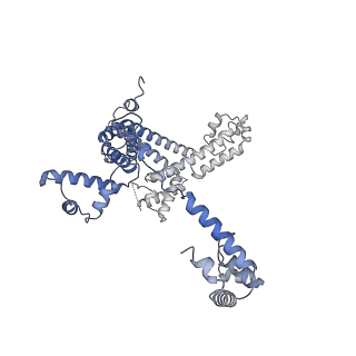 23893_7mke_L_v1-1
Cryo-EM structure of Escherichia coli RNA polymerase bound to lambda PR promoter DNA (class 2)