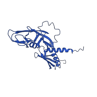 23895_7mki_G_v1-1
Cryo-EM structure of Escherichia coli RNA polymerase bound to lambda PR (-5G to C) promoter DNA