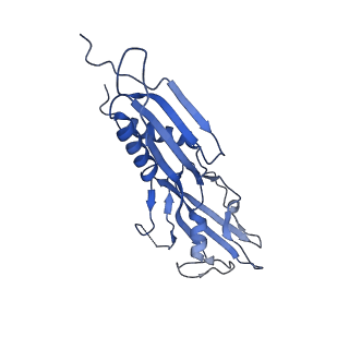 23895_7mki_H_v1-1
Cryo-EM structure of Escherichia coli RNA polymerase bound to lambda PR (-5G to C) promoter DNA