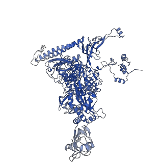 23895_7mki_I_v1-1
Cryo-EM structure of Escherichia coli RNA polymerase bound to lambda PR (-5G to C) promoter DNA