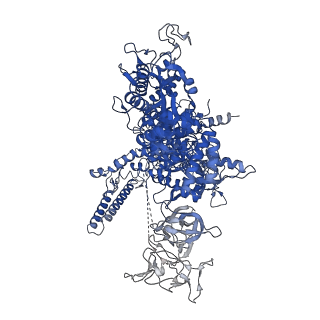 23895_7mki_J_v1-1
Cryo-EM structure of Escherichia coli RNA polymerase bound to lambda PR (-5G to C) promoter DNA
