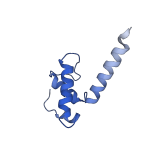 23895_7mki_K_v1-1
Cryo-EM structure of Escherichia coli RNA polymerase bound to lambda PR (-5G to C) promoter DNA