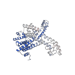 23895_7mki_L_v1-1
Cryo-EM structure of Escherichia coli RNA polymerase bound to lambda PR (-5G to C) promoter DNA
