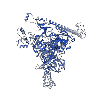 23897_7mkj_I_v1-1
Cryo-EM structure of Escherichia coli RNA polymerase bound to T7A1 promoter DNA