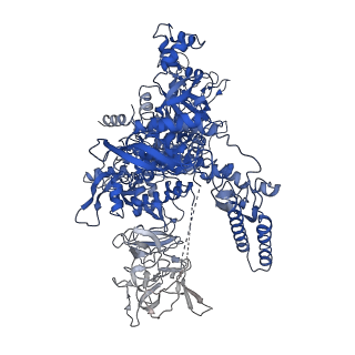 23897_7mkj_J_v1-1
Cryo-EM structure of Escherichia coli RNA polymerase bound to T7A1 promoter DNA