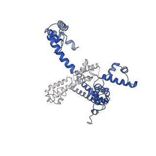 23897_7mkj_L_v1-1
Cryo-EM structure of Escherichia coli RNA polymerase bound to T7A1 promoter DNA