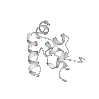 23897_7mkj_R_v1-1
Cryo-EM structure of Escherichia coli RNA polymerase bound to T7A1 promoter DNA