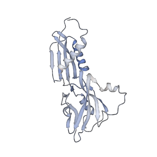 23900_7mkn_B_v1-2
Escherichia coli RNA polymerase and RapA elongation complex